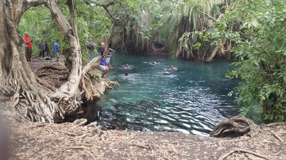 Day Trip Moshi to Chemka Hot Springs